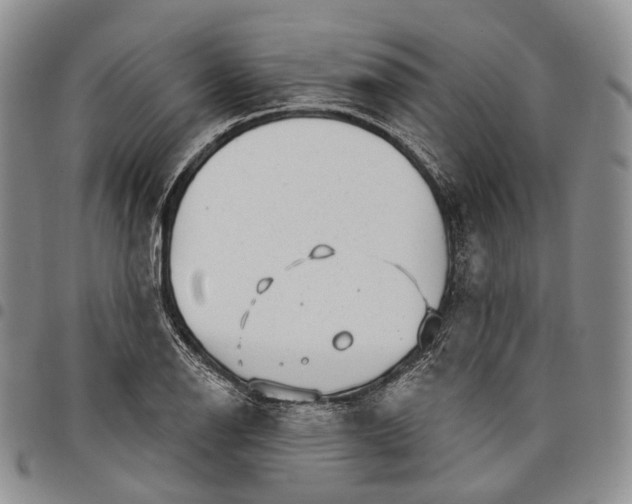 X0000097991126200804141135