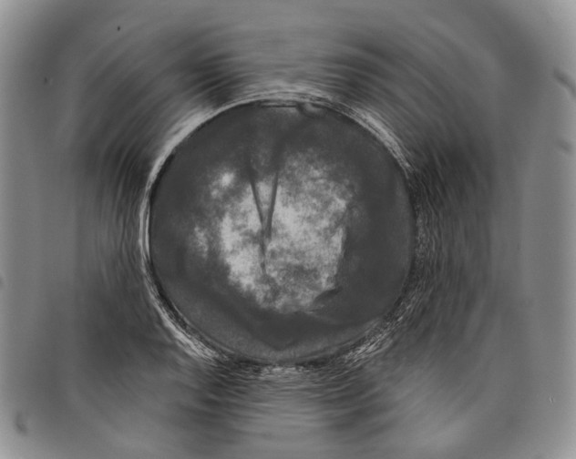 X0000097991128200804141135