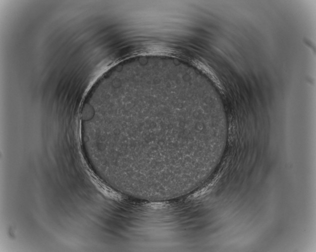 X0000097991130200804141135
