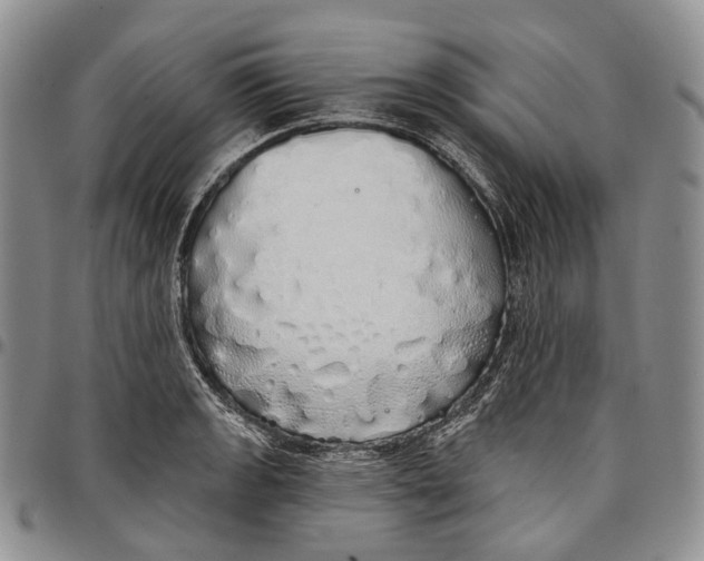 X0000097991133200804141135