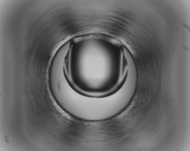 X0000097991134200804141135