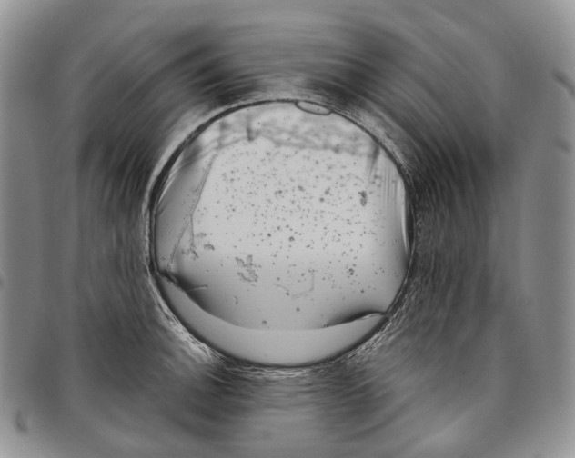X0000097991140200804141135