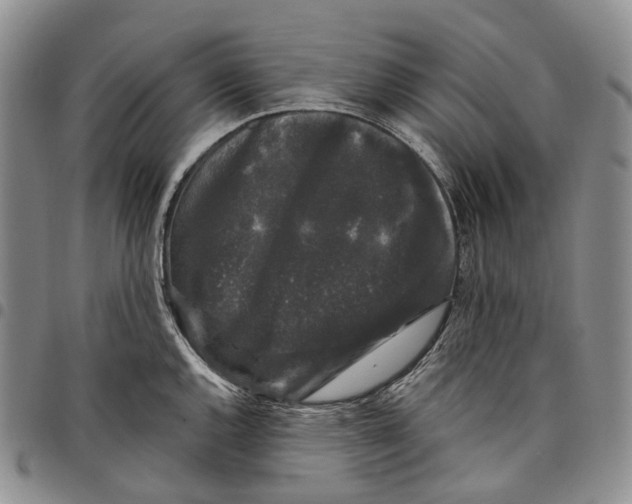 X0000097991144200804141135