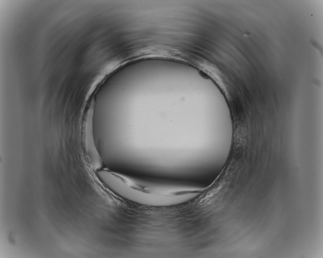 X0000097991146200804141135