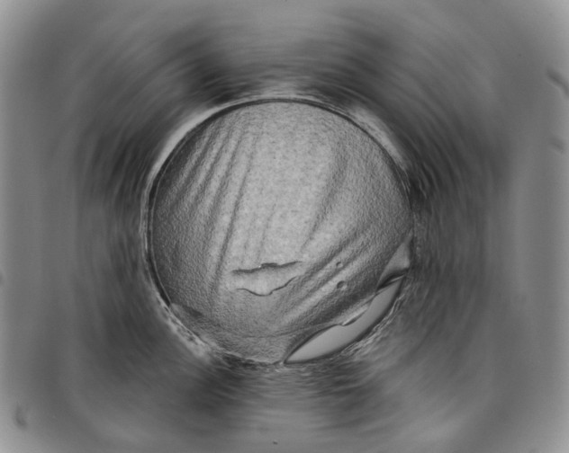 X0000097991148200804141135