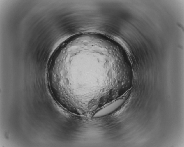 X0000097991149200804141135