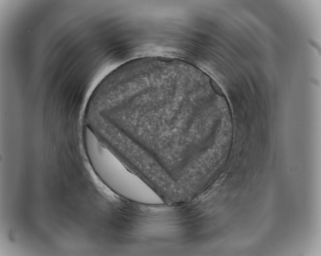 X0000097991152200804141135