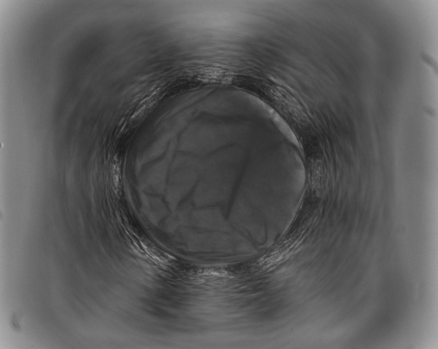 X0000097991154200804141135