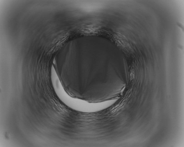 X0000097991156200804141135