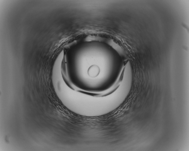 X0000097991157200804141135