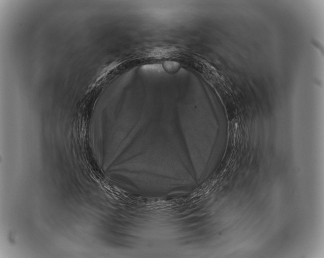 X0000097991158200804141135