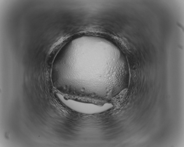 X0000097991159200804141135