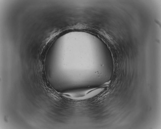 X0000097991160200804141135