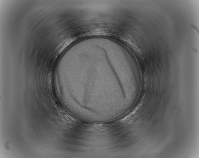 X0000097991162200804141135