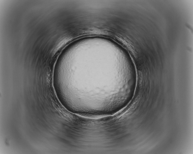 X0000097991163200804141134
