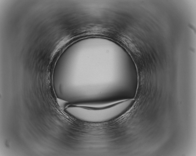 X0000097991164200804141134