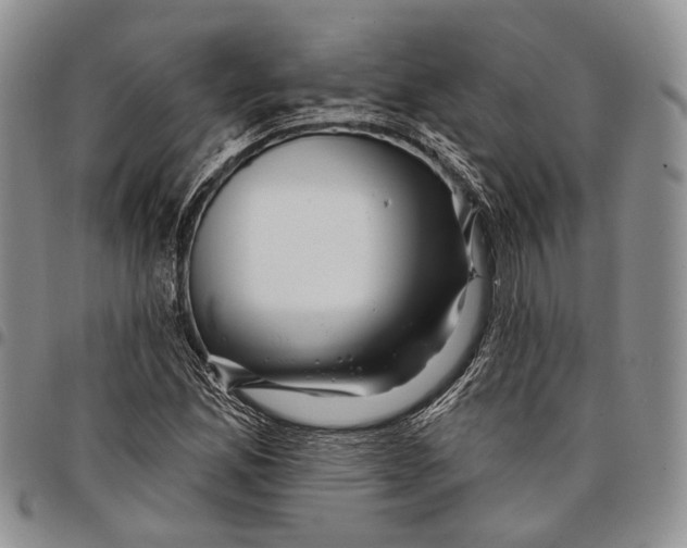 X0000097991165200804141134