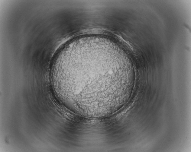 X0000097991166200804141134