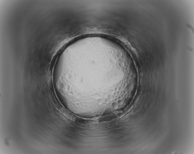 X0000097991167200804141134