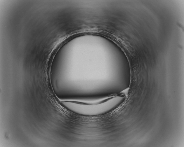 X0000097991168200804141134