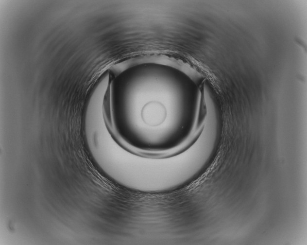 X0000097991169200804141134