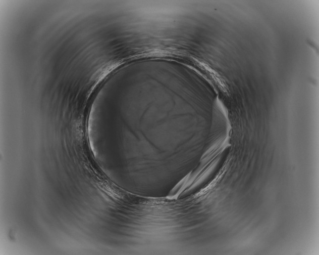 X0000097991170200804141134