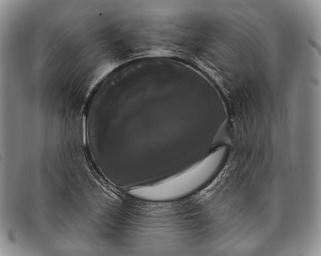 X0000097991171200804141134