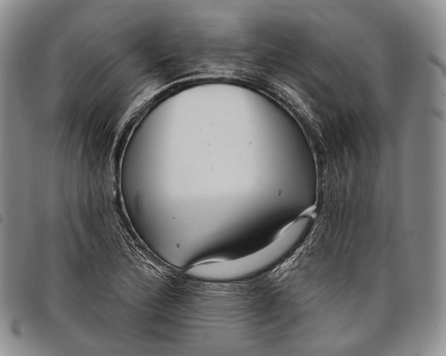 X0000097991172200804141134