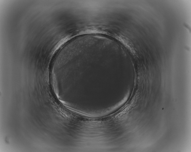 X0000097991173200804141134