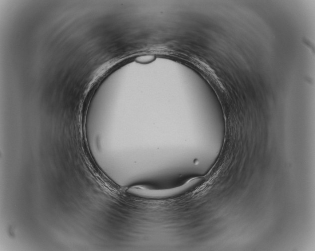 X0000097991176200804141134