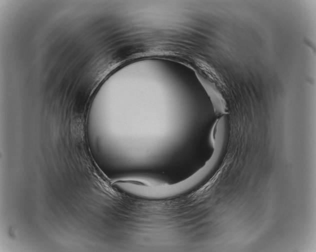 X0000097991177200804141134