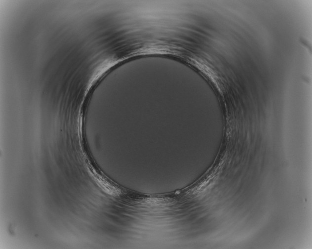 X0000097991179200804141134