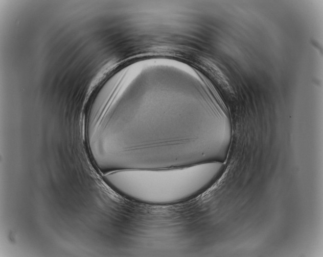 X0000097991180200804141134