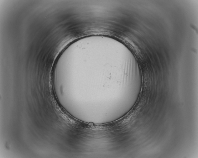 X0000097991182200804141134