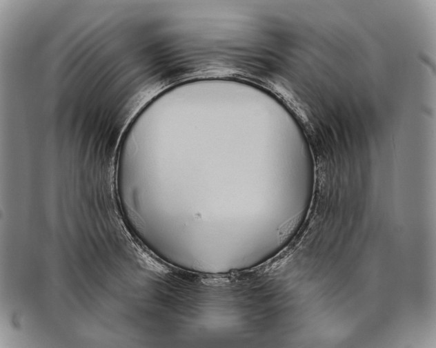 X0000097991186200804141134