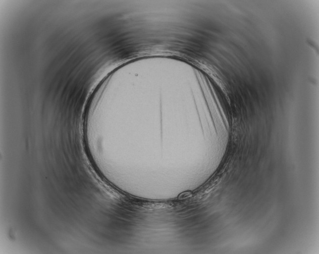 X0000097991187200804141134