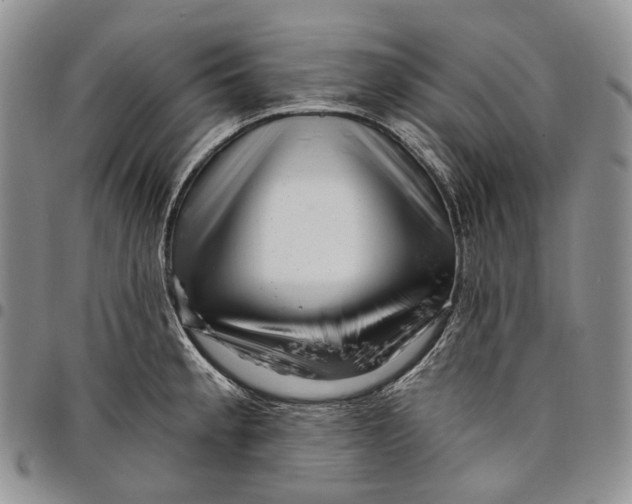 X0000097991189200804141134