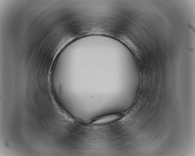 X0000097991190200804141134