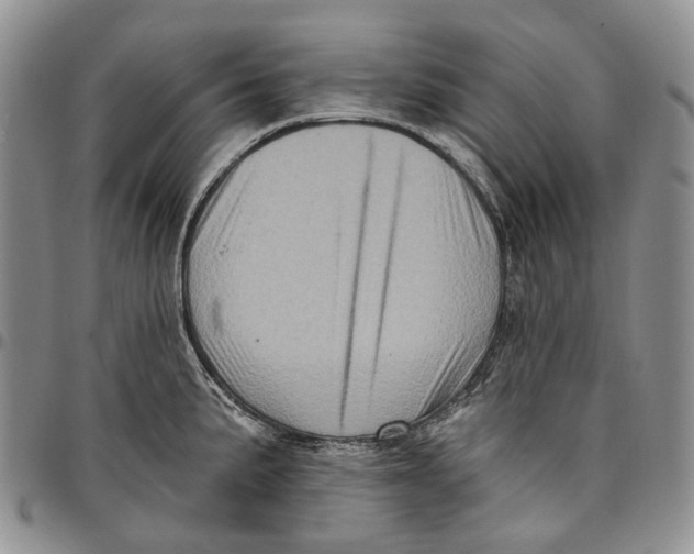 X0000097991191200804141134