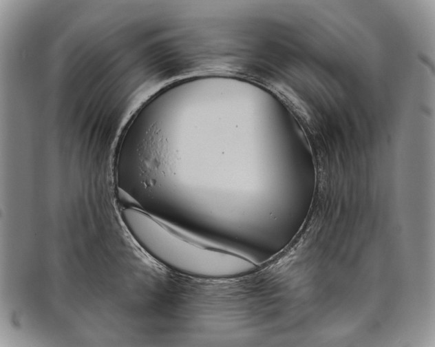 X0000097991192200804141134