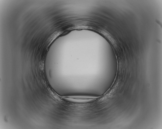 X0000097991193200804141134
