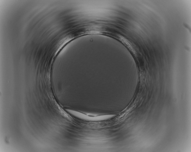 X0000097991194200804141134