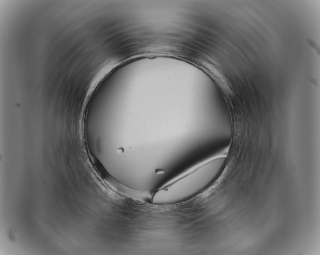 X0000097991196200804141134
