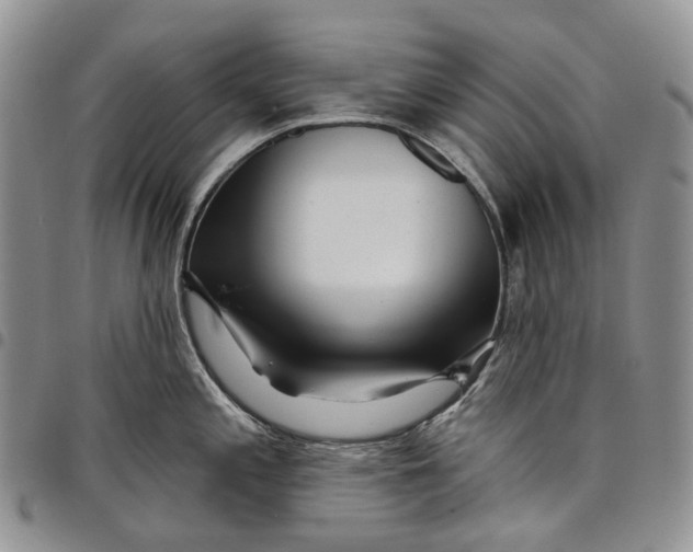X0000097991197200804141134