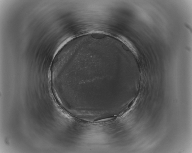 X0000097991198200804141134