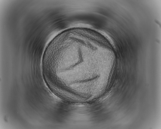 X0000097991199200804141134