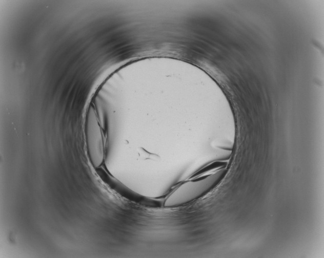 X0000097991200200804141134