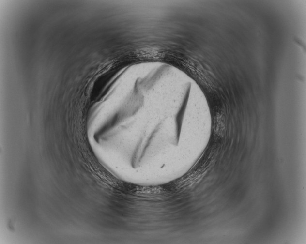 X0000097991201200804141133