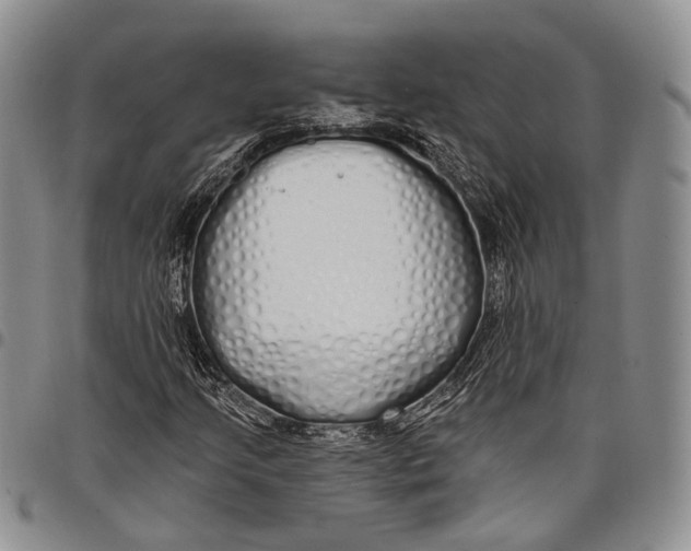 X0000097991205200804141133