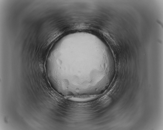 X0000097991209200804141133
